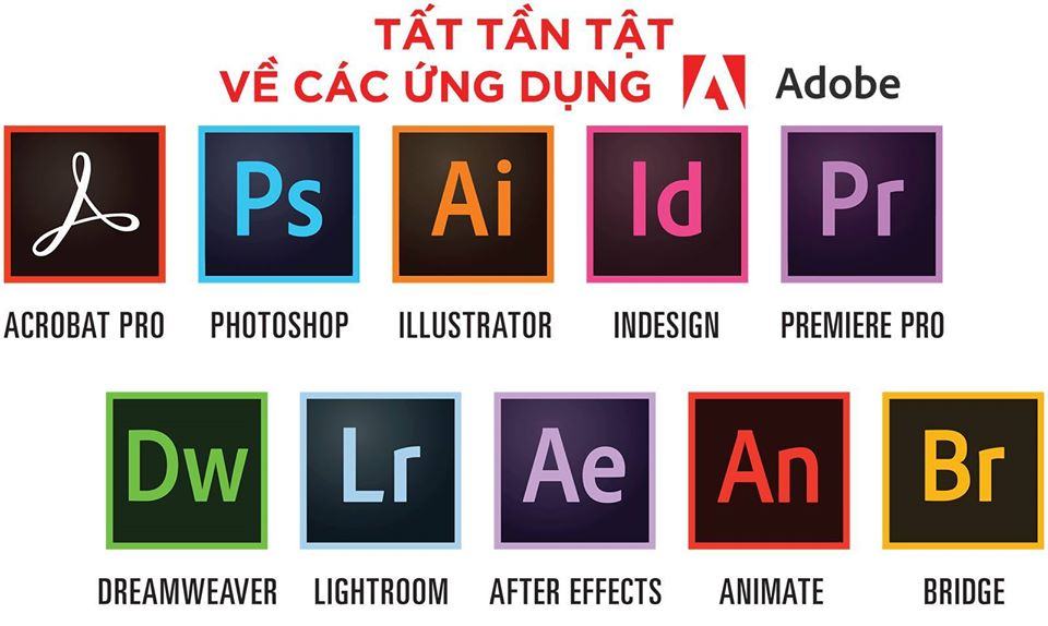 Tổng quan toàn bộ công dụng của các ứng dụng Adobe