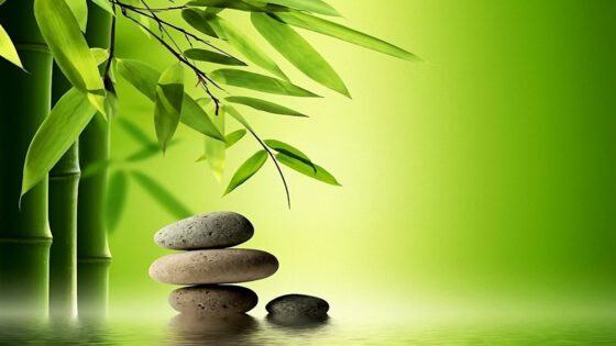 Ai cũng có thể ngồi thiền