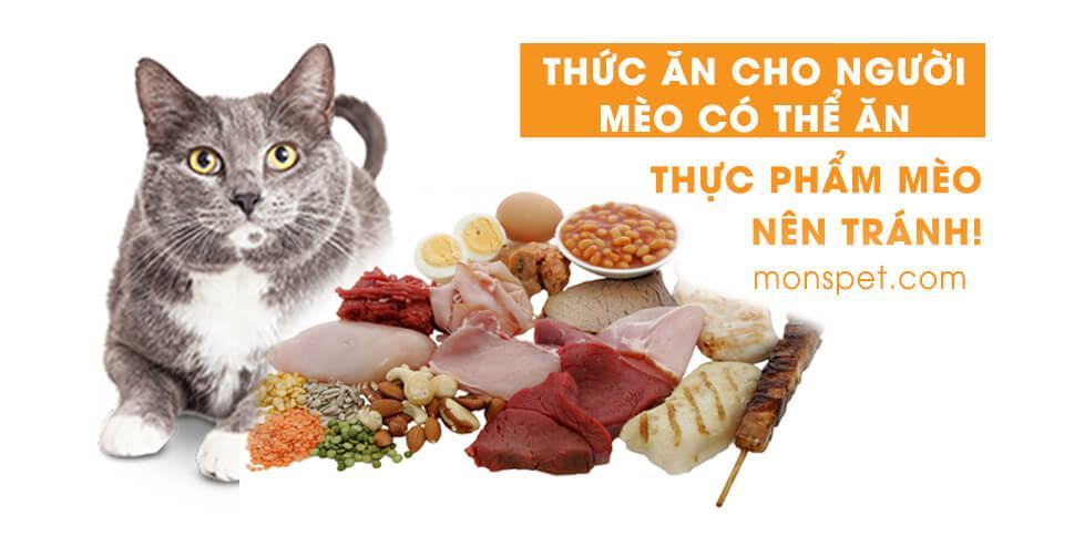 Mèo ăn dưa chua được không? Mèo ăn dưa muối được không?