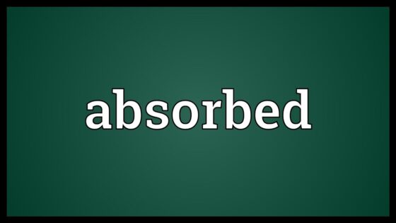 Absorbed đi với Giới từ gì?