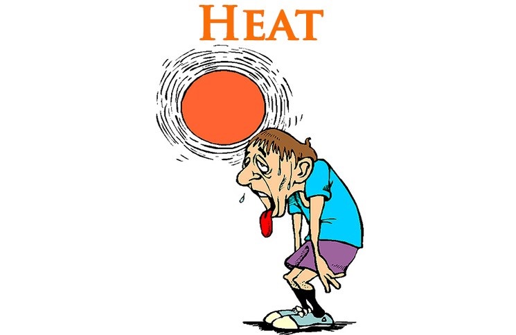 Heat đi với giới từ gì?