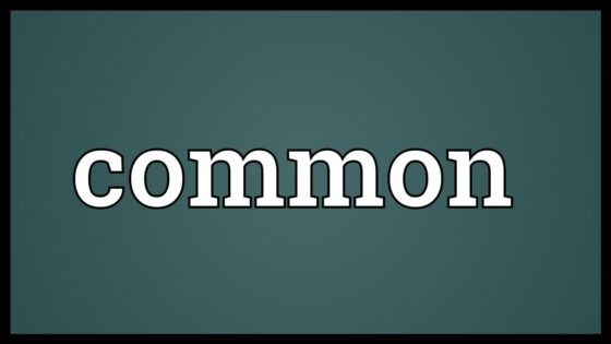 Common đi với giới từ gì? Common đồng nghĩa với từ nào?