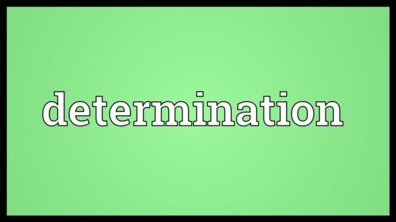 Determination đi với Giới từ gì